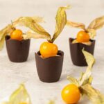 Copinho Physalis