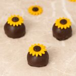 Bombom Cupuaçu Chocolate
